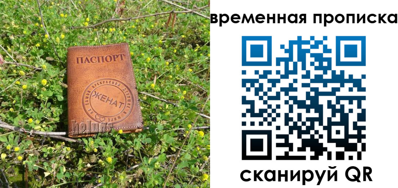 форма 3 в ЕАО